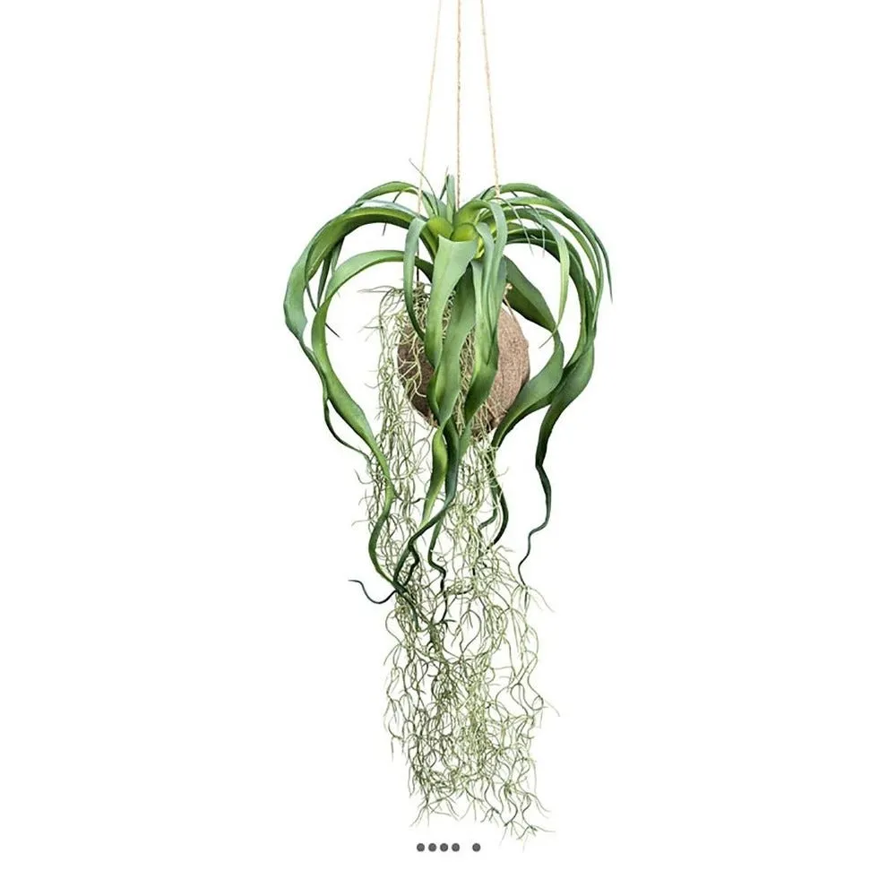Kokedama artificiel original tillandsia sur coco l 63cm