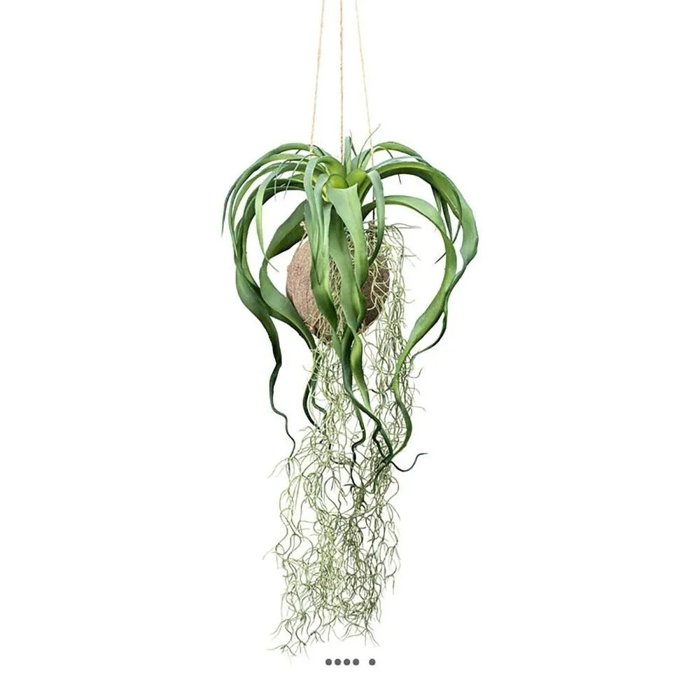 Kokedama artificiel original tillandsia sur coco l 63cm