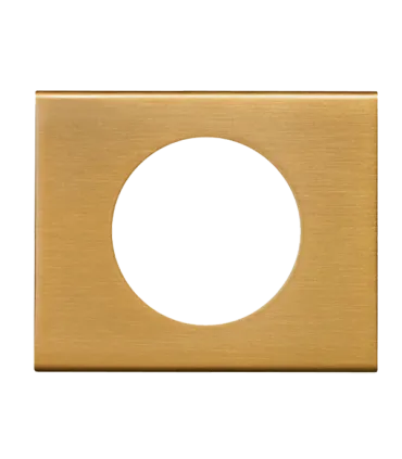 Legrand 069131 | Plaque Céliane 1 poste Alliage Bronze Doré